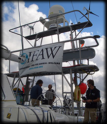 Song of the Whale IFAW's Research Vessel